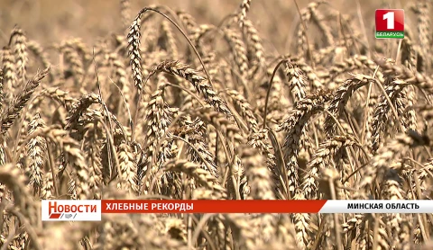 Хлебные рекорды | Подготовка к агрофестивалю | Маркет на колесах | Школьный сезон | Нарочанский курорт Хлебные рекорды | Подготовка к агрофестивалю | Маркет на колесах | Школьный сезон | Нарочанский курорт