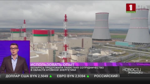 Беларусь предложила Пакистану сотрудничество в области атомной энергетики Беларусь предложила Пакистану сотрудничество в области атомной энергетики