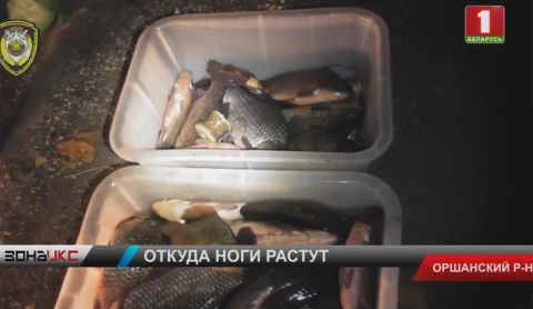 В Оршанском районе задержаны двое браконьеров В Оршанском районе задержаны двое браконьеров