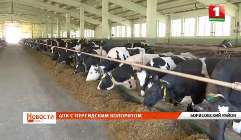 Вектор на Восток | Вручение главного документа | Цвет настроения "зелёный" | «Шедевры» в стиле «маляванок» Вектор на Восток | Вручение главного документа | Цвет настроения "зелёный" | «Шедевры» в стиле «маляванок»