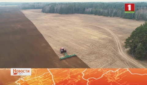 Сев ранних зерновых завершён Сев ранних зерновых завершён