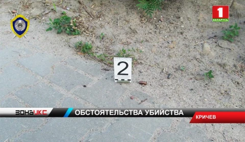 Следователи продолжают выяснять обстоятельства шокирующего происшествия в Кричеве Следователи продолжают выяснять обстоятельства шокирующего происшествия в Кричеве