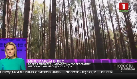 Миллиарды в лес Миллиарды в лес