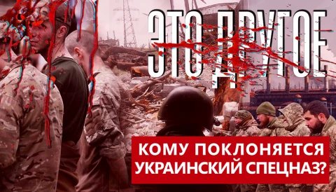 Это другое | Комментарии и воспоминания очевидцев Мариупольского котла Это другое | Комментарии и воспоминания очевидцев Мариупольского котла