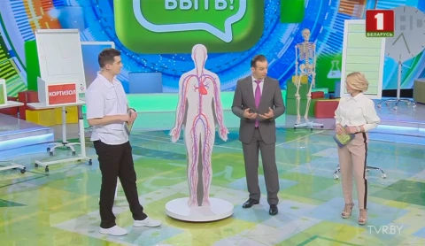 Когда и кому нужно проверять печень? Когда и кому нужно проверять печень?