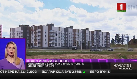 Ввод жилья в Беларуси в январе-ноябре увеличился на 8,3% Ввод жилья в Беларуси в январе-ноябре увеличился на 8,3%