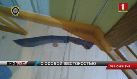 Ревность - предварительная версия убийства в Минском районе Ревность - предварительная версия убийства в Минском районе