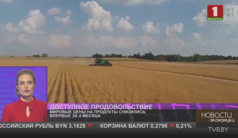 Мировые цены на продукты снизились впервые за 4 месяца Мировые цены на продукты снизились впервые за 4 месяца