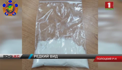 Почти 50 граммов карфентанила перевозил в себе житель Полоцкого района Почти 50 граммов карфентанила перевозил в себе житель Полоцкого района