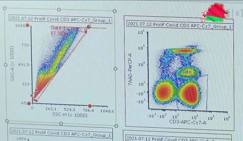 Как происходит формирование гуморального и клеточного иммунитета - в программе "Здоровье" Как происходит формирование гуморального и клеточного иммунитета - в программе "Здоровье"