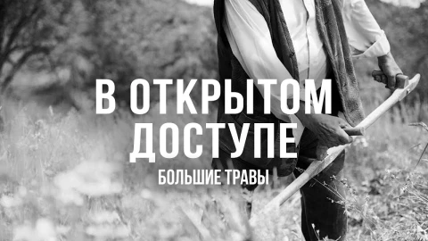 В открытом доступе | Большие травы В открытом доступе | Большие травы