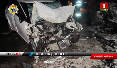 Дикое животное спровоцировало крупную аварию в Вилейском районе Дикое животное спровоцировало крупную аварию в Вилейском районе