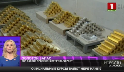 ЗВР в июне продемонстрировали рост ЗВР в июне продемонстрировали рост