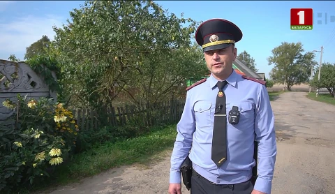 Истории спасения 05.11.2023 Истории спасения 05.11.2023