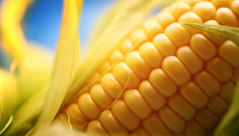 Дело, которое объединяет | Урожайная стратегия | Энергетические тренды | "Скарбонка" талантов Дело, которое объединяет | Урожайная стратегия | Энергетические тренды | "Скарбонка" талантов