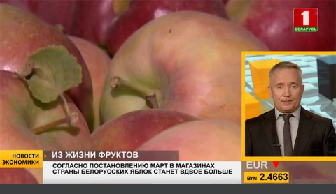 Новости экономики | Постановление МАРТ: в магазинах страны белорусских яблок станет вдвое больше Новости экономики | Постановление МАРТ: в магазинах страны белорусских яблок станет вдвое больше