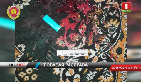 Кровавая расправа в Житковичском районе Кровавая расправа в Житковичском районе