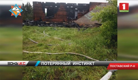 8-летняя девочка вынесла с пожара четверых братьев и сестер 8-летняя девочка вынесла с пожара четверых братьев и сестер
