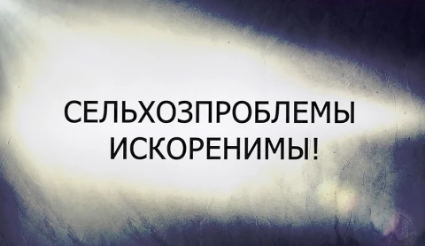 В открытом доступе | Сельхозпроблемы искоренимы! В открытом доступе | Сельхозпроблемы искоренимы!