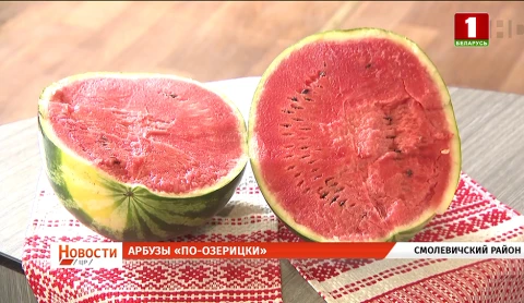 Сладкая экзотика нашего АПК, расширение платформы "Мой город", безопасный отдых, выращивание и заготовление полезных растений, хлебосольный репортаж Сладкая экзотика нашего АПК, расширение платформы "Мой город", безопасный отдых, выращивание и заготовление полезных растений, хлебосольный репортаж