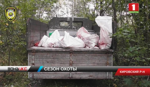 Торговля мясом диких животных. Такой бизнес придумали предприниматели из Бобруйска Торговля мясом диких животных. Такой бизнес придумали предприниматели из Бобруйска