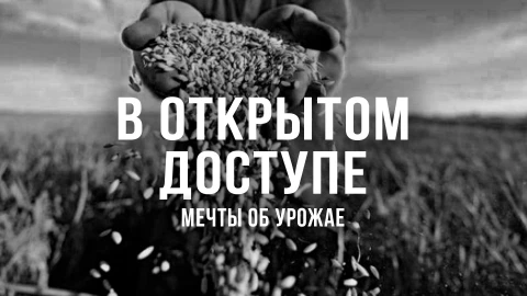 В открытом доступе | Мечты об урожае В открытом доступе | Мечты об урожае