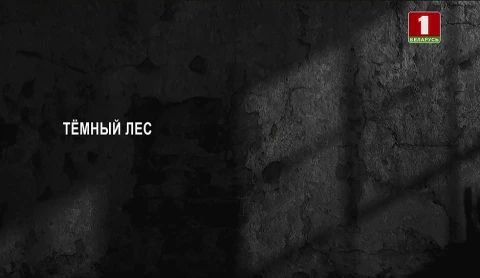 Тайны следствия | Темный лес Тайны следствия | Темный лес