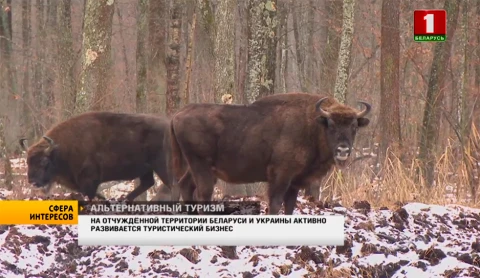 На отчужденной территории Беларуси и Украины активно развивается туристический бизнес На отчужденной территории Беларуси и Украины активно развивается туристический бизнес