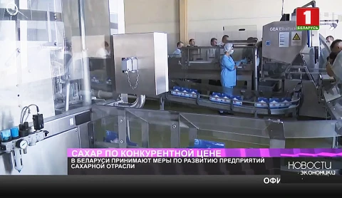 Производство сахара в этом году будет рентабельным Производство сахара в этом году будет рентабельным