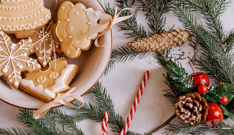 Производство со вкусом | Удачные эксперименты | Хвойные тренды | Новогоднее вдохновение Производство со вкусом | Удачные эксперименты | Хвойные тренды | Новогоднее вдохновение