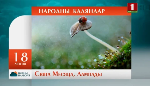 Навiны надвор'я (14.07.2019) Навiны надвор'я (14.07.2019)