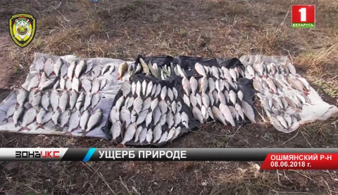 По факту загрязнения реки Гольшанским крахмальным заводом возбуждено уголовное дело По факту загрязнения реки Гольшанским крахмальным заводом возбуждено уголовное дело