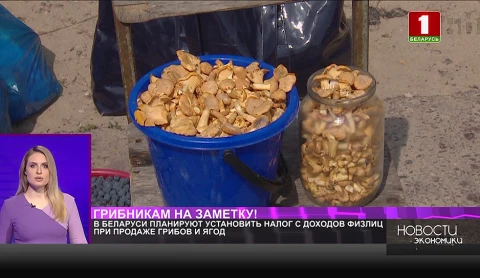 В Беларуси планируют установить налог с доходов физлиц при продаже грибов и ягод В Беларуси планируют установить налог с доходов физлиц при продаже грибов и ягод