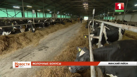 В Минской области построят 26 новых молочно-товарных комплексов, как обучают одаренных юных инженеров, главные премудрости лозоплетения В Минской области построят 26 новых молочно-товарных комплексов, как обучают одаренных юных инженеров, главные премудрости лозоплетения