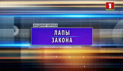 Лапы закона Лапы закона