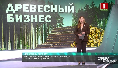 Министерство лесного хозяйства: снижение цен на древесину на мировом рынке не прогнозируется Министерство лесного хозяйства: снижение цен на древесину на мировом рынке не прогнозируется
