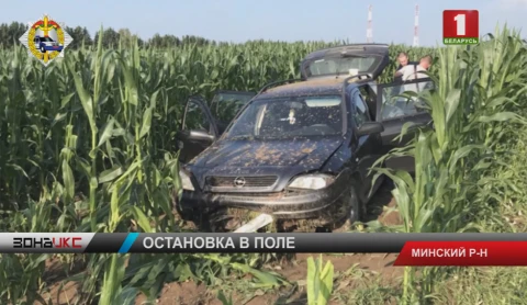Взрыв витаминов в одном салоне Взрыв витаминов в одном салоне