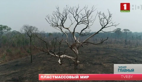 Главный эфир 29.09.2019 Главный эфир 29.09.2019