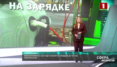 Минэкономики: к 2025 году в Беларуси ожидаем до 100 тыс. электрокаров Минэкономики: к 2025 году в Беларуси ожидаем до 100 тыс. электрокаров
