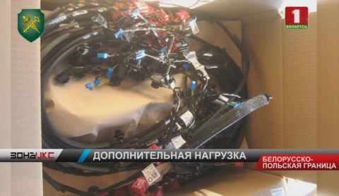 Пять тысяч комплектов проводов пытался незаконно переместить через границу российский перевозчик Пять тысяч комплектов проводов пытался незаконно переместить через границу российский перевозчик