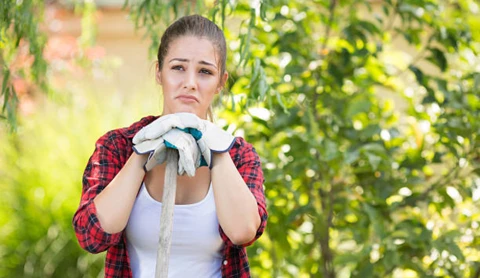 "Дажынки - 2024": подготовка | Славные достижения | Маршруты памяти | Школьные агротренды | Пасхальные сувениры "Дажынки - 2024": подготовка | Славные достижения | Маршруты памяти | Школьные агротренды | Пасхальные сувениры