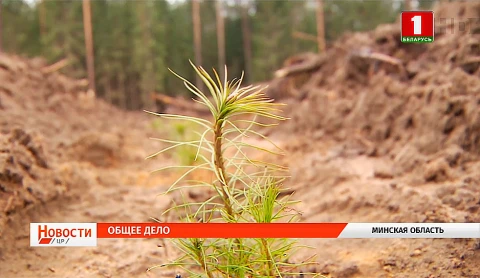 Общее дело Общее дело