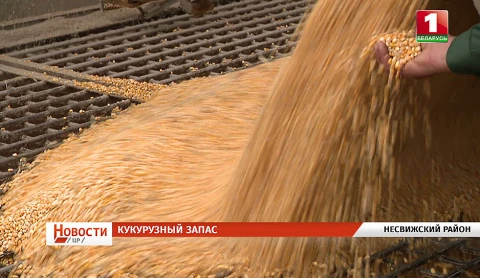 Перспективы АПК, региональная медицина, День работников культуры, на малой Родине Дмитрия Шостаковича Перспективы АПК, региональная медицина, День работников культуры, на малой Родине Дмитрия Шостаковича