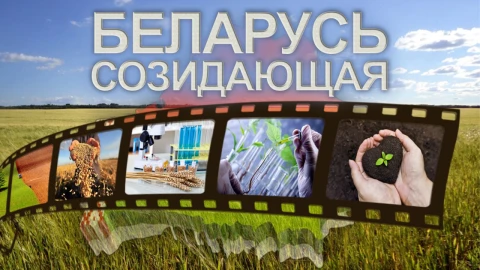 Беларусь созидающая | Аграрная наука и биотехнологии | Открытия и инновации в сельском хозяйстве Беларусь созидающая | Аграрная наука и биотехнологии | Открытия и инновации в сельском хозяйстве