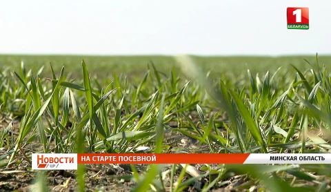 Агросезон набирает оборот | Как изготавливают торф | Ветхие дома за 1 базовую величину Агросезон набирает оборот | Как изготавливают торф | Ветхие дома за 1 базовую величину