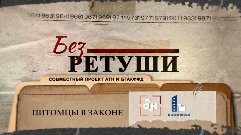 Без ретуши | Питомцы в законе Без ретуши | Питомцы в законе