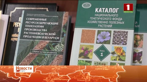 Медицинский туризм | Новые виды зернобобовых культур | Выставка в Несвижском замке Медицинский туризм | Новые виды зернобобовых культур | Выставка в Несвижском замке