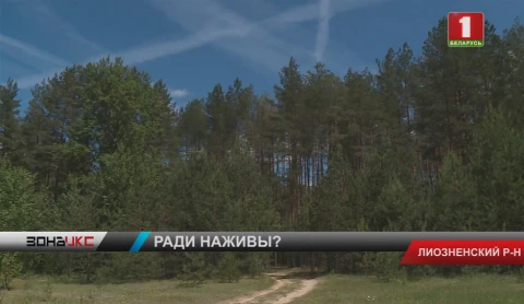 Следователи раскрыли подробности убийства женщины в Лиозненском районе Следователи раскрыли подробности убийства женщины в Лиозненском районе
