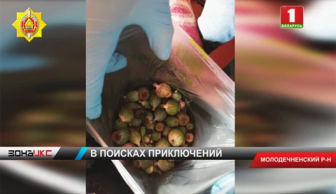 1,5 килограмма маковой соломки стали поводом для возбуждения уголовного дела 1,5 килограмма маковой соломки стали поводом для возбуждения уголовного дела