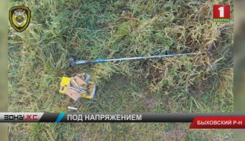 В Быховском районе трое мужчин добывали рыбу с помощью электроудочек В Быховском районе трое мужчин добывали рыбу с помощью электроудочек